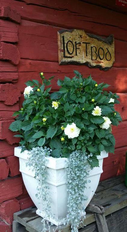 Stora Djuloe Vandrarhem แคทรีนโฮล์ม ห้อง รูปภาพ